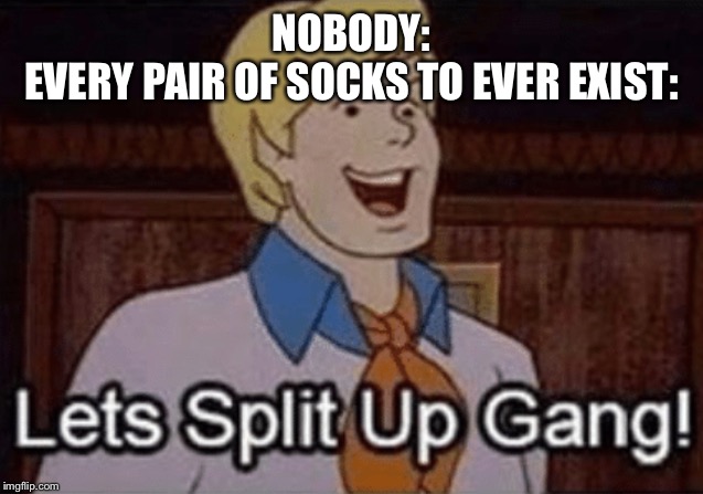 Let’s split up hang! | NOBODY:

EVERY PAIR OF SOCKS TO EVER EXIST: | image tagged in lets split up hang | made w/ Imgflip meme maker