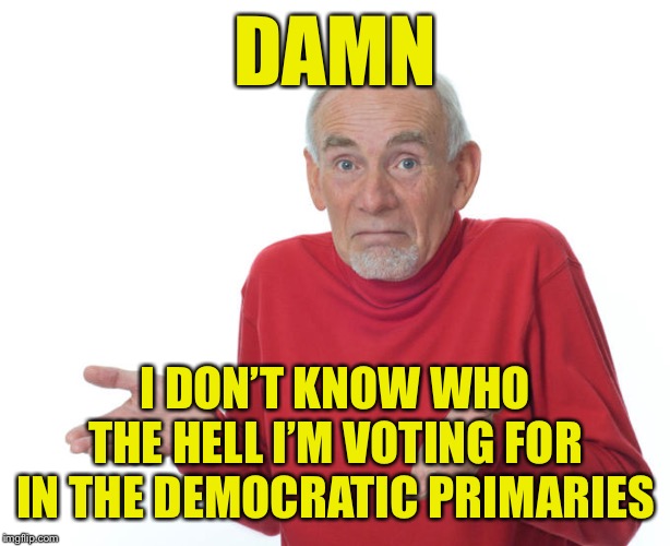 The race is wide open. I’m confused! | DAMN; I DON’T KNOW WHO THE HELL I’M VOTING FOR IN THE DEMOCRATIC PRIMARIES | image tagged in election 2020,2020 elections,democrats,primary,bernie sanders,joe biden | made w/ Imgflip meme maker