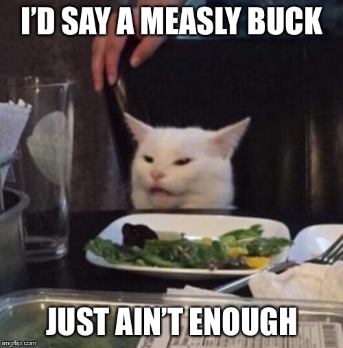 Annoyed White Cat | I’D SAY A MEASLY BUCK JUST AIN’T ENOUGH | image tagged in annoyed white cat | made w/ Imgflip meme maker