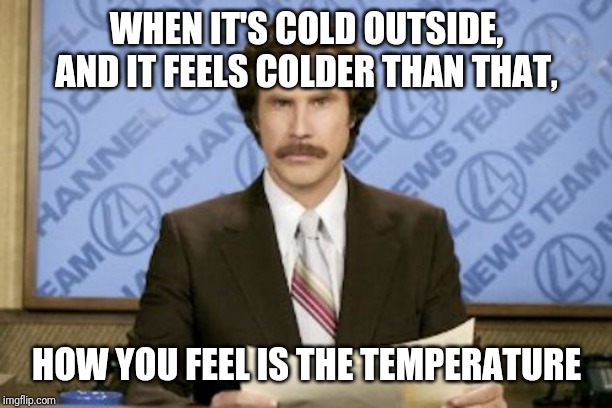 Ron Burgundy | WHEN IT'S COLD OUTSIDE, AND IT FEELS COLDER THAN THAT, HOW YOU FEEL IS THE TEMPERATURE | image tagged in memes,ron burgundy | made w/ Imgflip meme maker