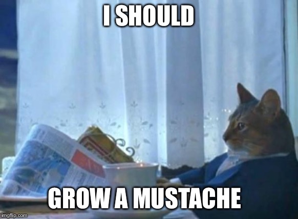 Cat newspaper | I SHOULD GROW A MUSTACHE | image tagged in cat newspaper | made w/ Imgflip meme maker