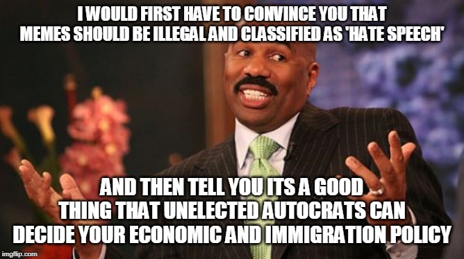 Steve Harvey Meme | I WOULD FIRST HAVE TO CONVINCE YOU THAT MEMES SHOULD BE ILLEGAL AND CLASSIFIED AS 'HATE SPEECH' AND THEN TELL YOU ITS A GOOD THING THAT UNEL | image tagged in memes,steve harvey | made w/ Imgflip meme maker