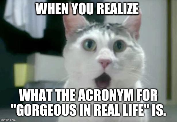 S.W.I.D.T?
(See What I Did There?) | WHEN YOU REALIZE; WHAT THE ACRONYM FOR "GORGEOUS IN REAL LIFE" IS. | image tagged in memes,omg cat,acronym,i see what you did there,clever,mind blown | made w/ Imgflip meme maker