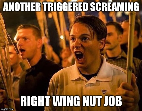 Triggered neo nazi | ANOTHER TRIGGERED SCREAMING RIGHT WING NUT JOB | image tagged in triggered neo nazi | made w/ Imgflip meme maker