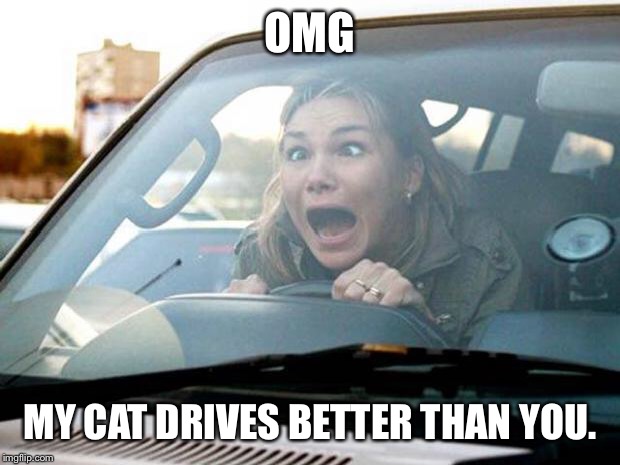 woman driver |  OMG; MY CAT DRIVES BETTER THAN YOU. | image tagged in woman driver | made w/ Imgflip meme maker