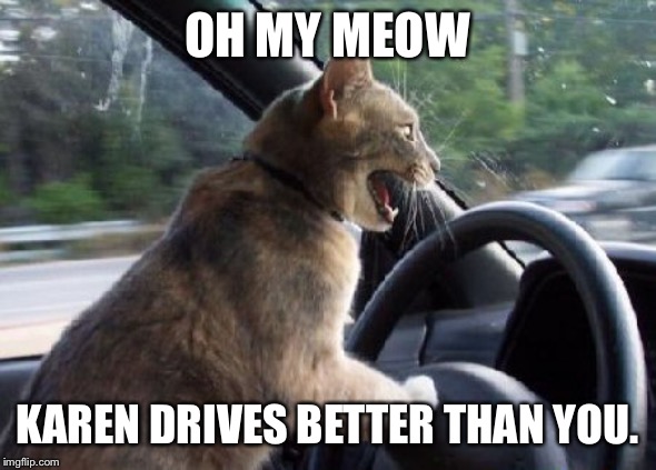 cat driving car | OH MY MEOW; KAREN DRIVES BETTER THAN YOU. | image tagged in cat driving car | made w/ Imgflip meme maker