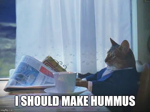 Cat reading newspaper | I SHOULD MAKE HUMMUS | image tagged in cat reading newspaper | made w/ Imgflip meme maker