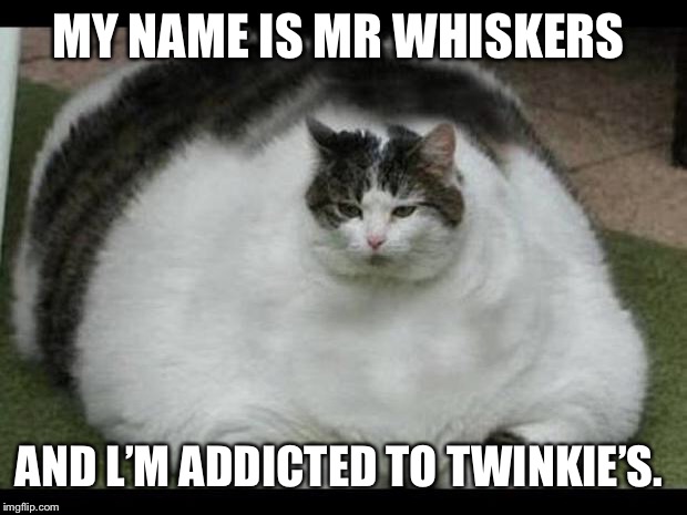 fat cat 2 | MY NAME IS MR WHISKERS; AND L’M ADDICTED TO TWINKIE’S. | image tagged in fat cat 2 | made w/ Imgflip meme maker