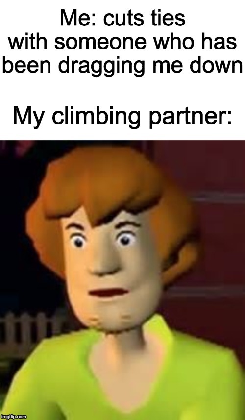 Surprised Shaggy | image tagged in funny,memes,custom template | made w/ Imgflip meme maker