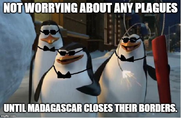 Madagascar Penguins | NOT WORRYING ABOUT ANY PLAGUES; UNTIL MADAGASCAR CLOSES THEIR BORDERS. | image tagged in madagascar penguins | made w/ Imgflip meme maker