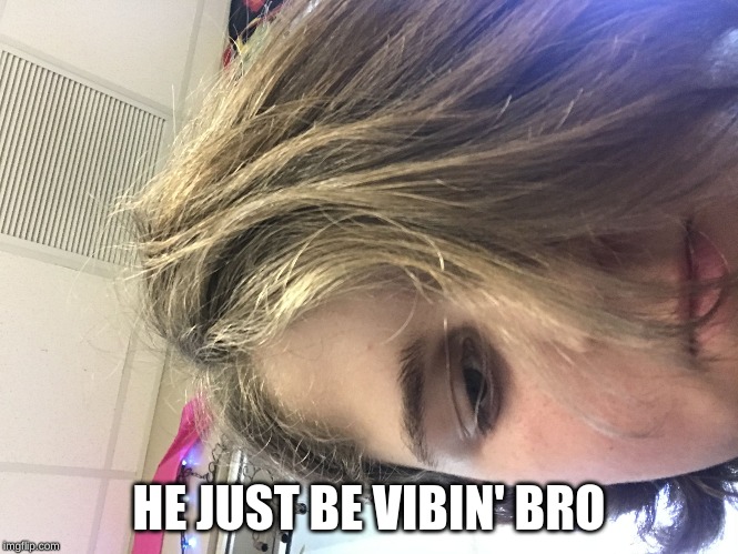 Just vibin | HE JUST BE VIBIN' BRO | image tagged in just vibin | made w/ Imgflip meme maker