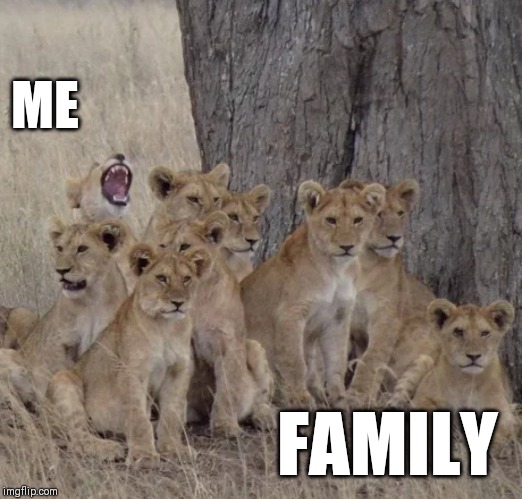 Photo OP meme | ME; FAMILY | image tagged in me meme,family meme,photo,family,photo opportunity | made w/ Imgflip meme maker