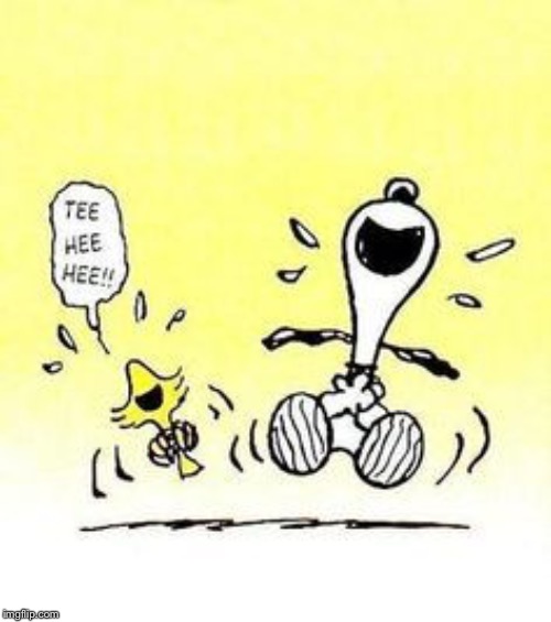 Snoopy and Woodstock laughing | image tagged in snoopy and woodstock laughing | made w/ Imgflip meme maker