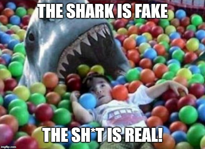 THE SHARK IS FAKE THE SH*T IS REAL! | made w/ Imgflip meme maker