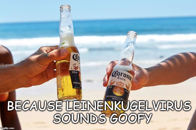 Leinenkugel Virus | BECAUSE LEINENKUGELVIRUS   SOUNDS GOOFY | image tagged in corona,coronavirus,leinenkugel,beer virus | made w/ Imgflip meme maker