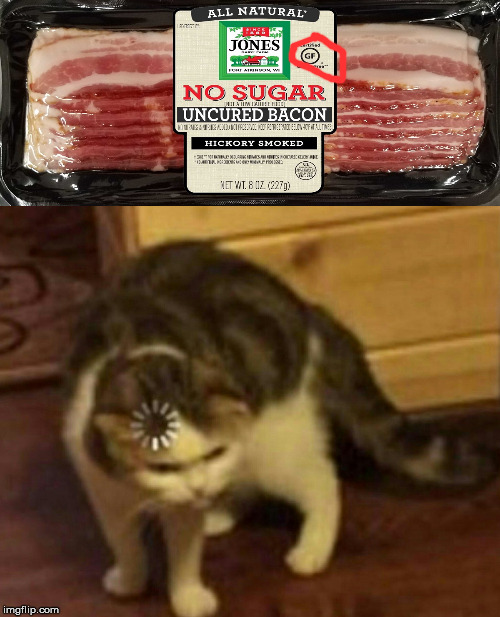 gf bacon? | image tagged in cat,bacon,gluten free,confusion cat | made w/ Imgflip meme maker
