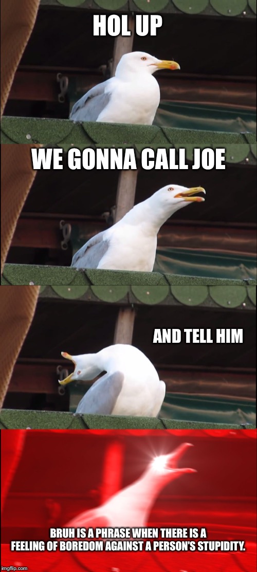 Inhaling Seagull | HOL UP; WE GONNA CALL JOE; AND TELL HIM; BRUH IS A PHRASE WHEN THERE IS A FEELING OF BOREDOM AGAINST A PERSON’S STUPIDITY. | image tagged in memes,inhaling seagull | made w/ Imgflip meme maker