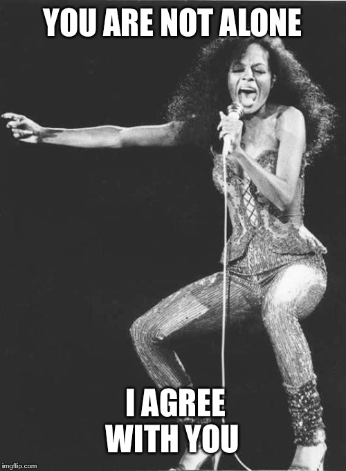 Diana Ross | YOU ARE NOT ALONE I AGREE WITH YOU | image tagged in diana ross | made w/ Imgflip meme maker
