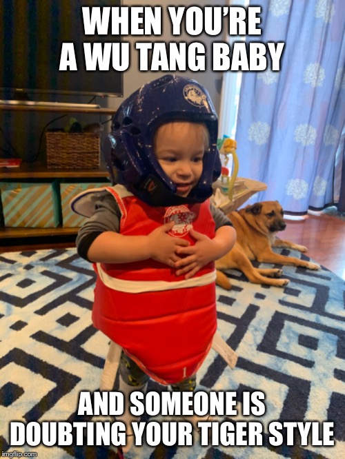 WHEN YOU’RE A WU TANG BABY; AND SOMEONE IS DOUBTING YOUR TIGER STYLE | image tagged in funny memes,kids,memes,dank memes,dank,share | made w/ Imgflip meme maker