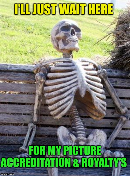 Waiting Skeleton Meme | I’LL JUST WAIT HERE FOR MY PICTURE ACCREDITATION & ROYALTY’S | image tagged in memes,waiting skeleton | made w/ Imgflip meme maker
