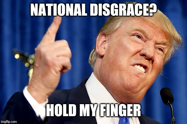 Donald Trump | NATIONAL DISGRACE? HOLD MY FINGER | image tagged in donald trump | made w/ Imgflip meme maker