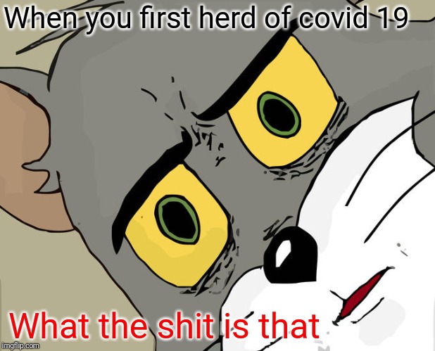 Unsettled Tom Meme | When you first herd of covid 19; What the shit is that | image tagged in memes,unsettled tom | made w/ Imgflip meme maker
