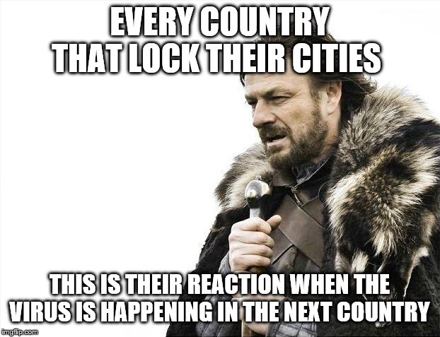 Brace Yourselves X is Coming | EVERY COUNTRY THAT LOCK THEIR CITIES; THIS IS THEIR REACTION WHEN THE VIRUS IS HAPPENING IN THE NEXT COUNTRY | image tagged in memes,brace yourselves x is coming | made w/ Imgflip meme maker
