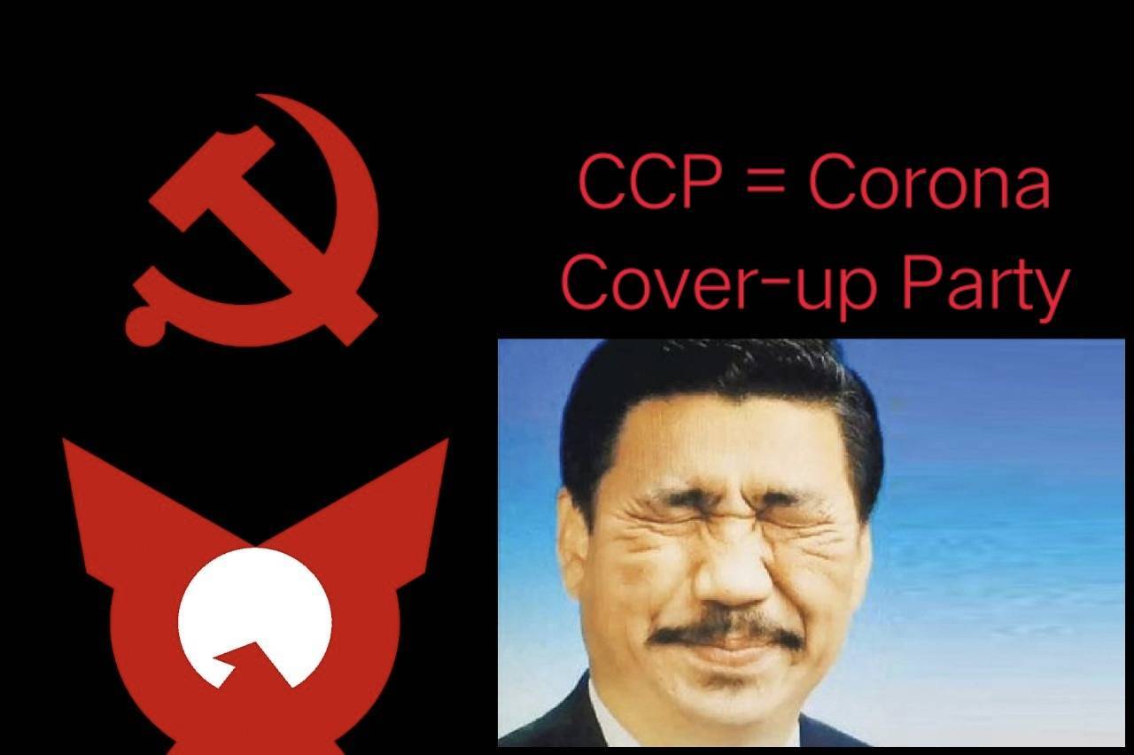 corona cover-up party Blank Meme Template