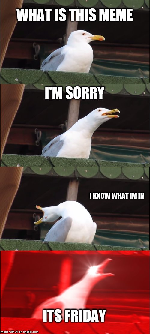Inhaling Seagull | WHAT IS THIS MEME; I'M SORRY; I KNOW WHAT IM IN; ITS FRIDAY | image tagged in memes,inhaling seagull | made w/ Imgflip meme maker