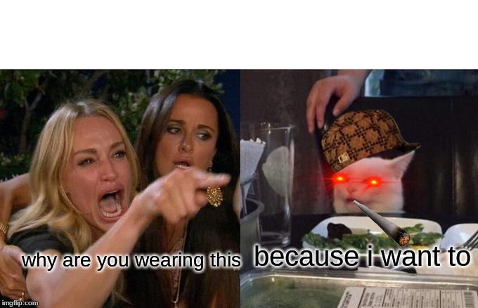 Woman Yelling At Cat | because i want to; why are you wearing this | image tagged in memes,woman yelling at cat | made w/ Imgflip meme maker