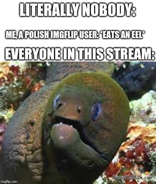 Mother of god eel | LITERALLY NOBODY:; ME, A POLISH IMGFLIP USER: *EATS AN EEL*; EVERYONE IN THIS STREAM: | image tagged in mother of god eel | made w/ Imgflip meme maker