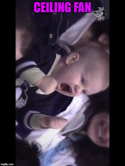 Hockey baby | CEILING FAN | image tagged in hockey baby | made w/ Imgflip meme maker