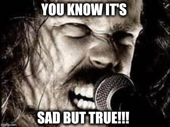 Metallica  | YOU KNOW IT'S SAD BUT TRUE!!! | image tagged in metallica | made w/ Imgflip meme maker