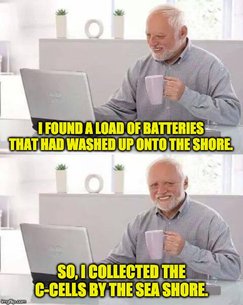 Hide the Pain Harold Meme | I FOUND A LOAD OF BATTERIES THAT HAD WASHED UP ONTO THE SHORE. SO, I COLLECTED THE C-CELLS BY THE SEA SHORE. | image tagged in memes,hide the pain harold | made w/ Imgflip meme maker