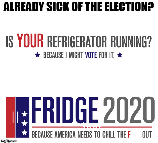 My dog is running and I am voting for him. | ALREADY SICK OF THE ELECTION? | image tagged in politics,running | made w/ Imgflip meme maker