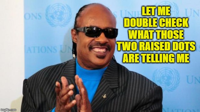stevie wonder | LET ME DOUBLE CHECK WHAT THOSE TWO RAISED DOTS ARE TELLING ME | image tagged in stevie wonder | made w/ Imgflip meme maker