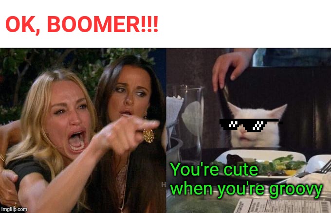 Woman Yelling At Cat | OK, BOOMER!!! You're cute when you're groovy | image tagged in memes,woman yelling at cat | made w/ Imgflip meme maker