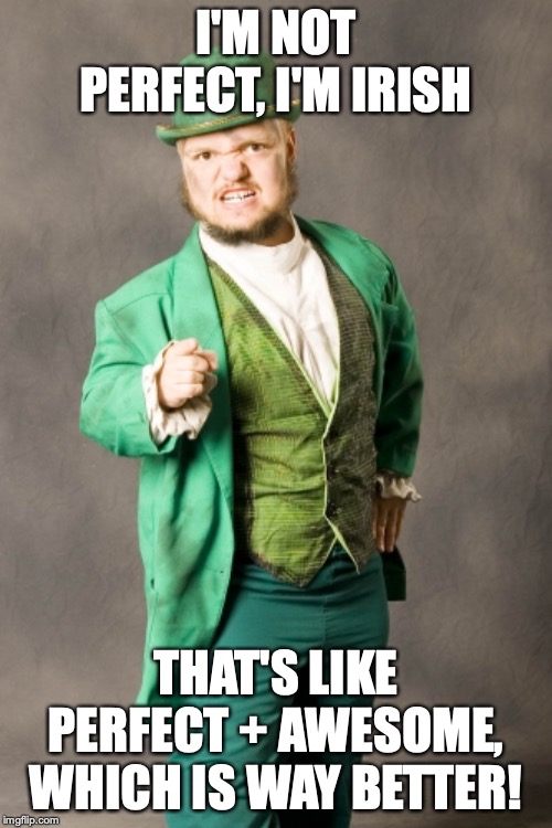 your not irish assholes | I'M NOT PERFECT, I'M IRISH; THAT'S LIKE PERFECT + AWESOME, WHICH IS WAY BETTER! | image tagged in your not irish assholes | made w/ Imgflip meme maker