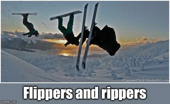 Flippers and rippers | made w/ Imgflip meme maker