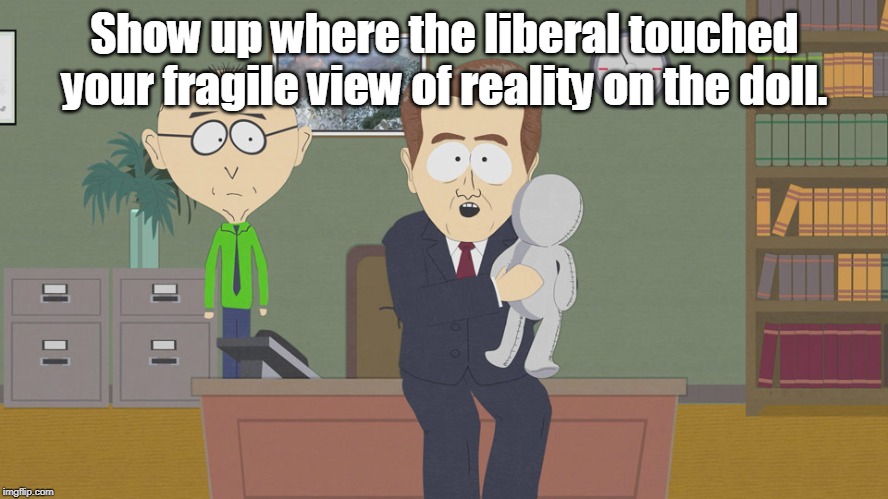 Molestation doll  | Show up where the liberal touched your fragile view of reality on the doll. | image tagged in molestation doll | made w/ Imgflip meme maker