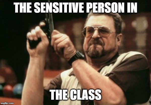 Am I The Only One Around Here | THE SENSITIVE PERSON IN; THE CLASS | image tagged in memes,am i the only one around here | made w/ Imgflip meme maker