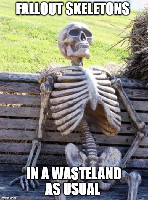 Waiting Skeleton | FALLOUT SKELETONS; IN A WASTELAND AS USUAL | image tagged in memes,waiting skeleton | made w/ Imgflip meme maker