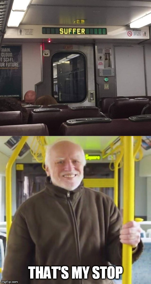 All aboard the pain train! | THAT'S MY STOP | image tagged in hide the pain harold,suffer,stop | made w/ Imgflip meme maker