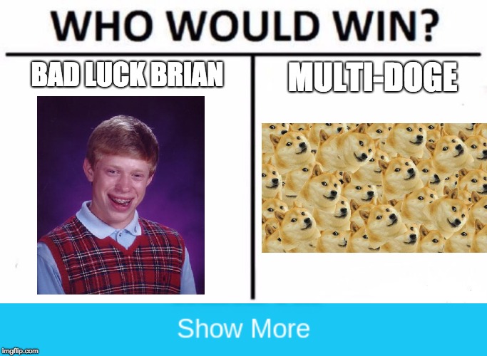 MULTI-DOGE; BAD LUCK BRIAN | image tagged in memes,who would win,show more | made w/ Imgflip meme maker