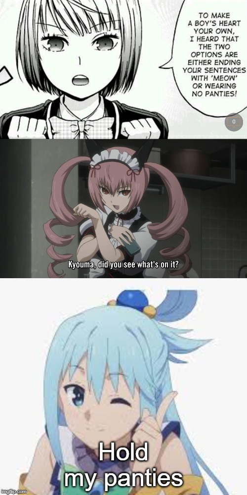Hold my panties | image tagged in the key to a boy's heart,konosuba,aqua,anime,feyris,steins gate | made w/ Imgflip meme maker