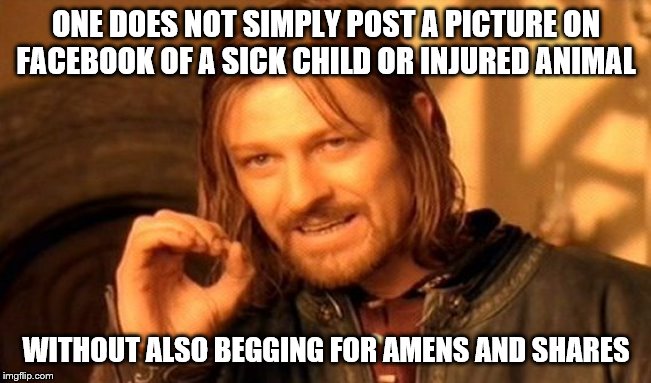 One Does Not Simply |  ONE DOES NOT SIMPLY POST A PICTURE ON FACEBOOK OF A SICK CHILD OR INJURED ANIMAL; WITHOUT ALSO BEGGING FOR AMENS AND SHARES | image tagged in memes,one does not simply,begging,like and share,amen | made w/ Imgflip meme maker