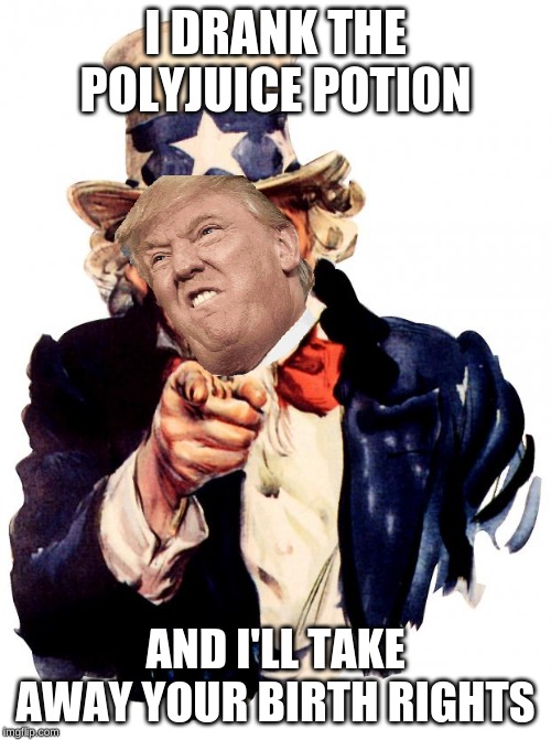 trumple sam | I DRANK THE POLYJUICE POTION; AND I'LL TAKE AWAY YOUR BIRTH RIGHTS | image tagged in memes,uncle sam,meme | made w/ Imgflip meme maker