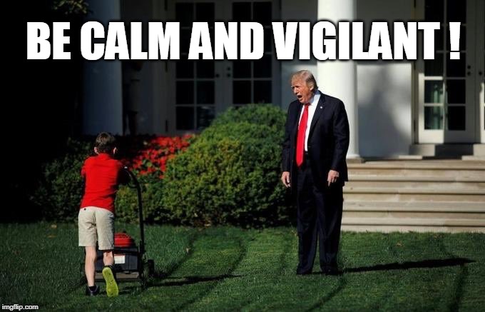 BE CALM AND VIGILANT ! | image tagged in trump | made w/ Imgflip meme maker
