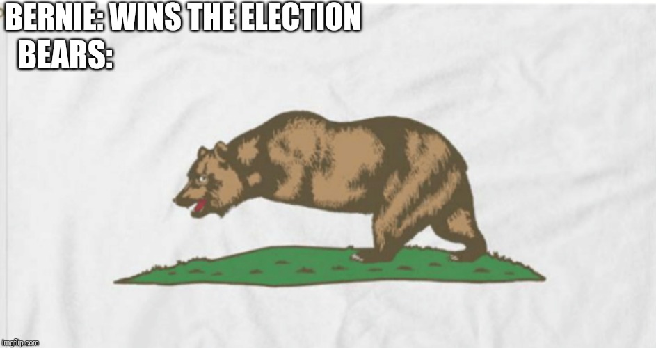 Second amendment | BERNIE: WINS THE ELECTION; BEARS: | image tagged in bears,fun,politics | made w/ Imgflip meme maker