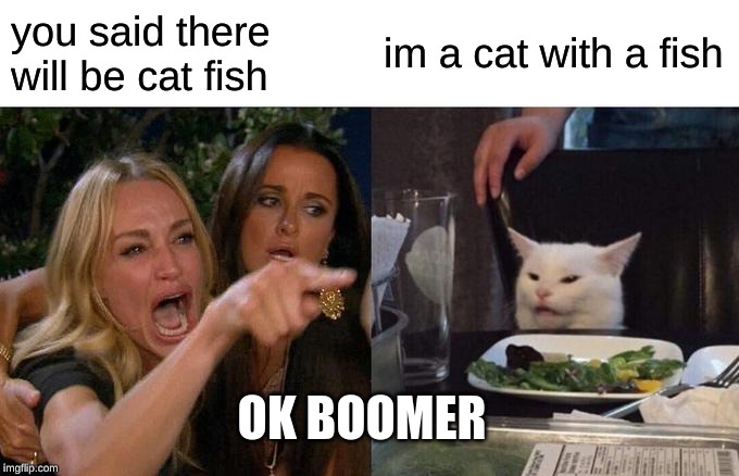 Woman Yelling At Cat Meme | you said there will be cat fish; im a cat with a fish; OK BOOMER | image tagged in memes,woman yelling at cat | made w/ Imgflip meme maker